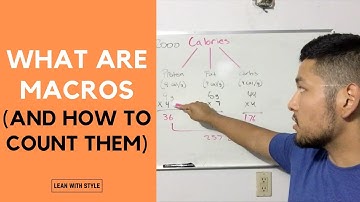 What Are Macros And How To Count Them