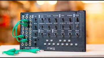 Moog Mavis Semi-Modular Synth: Overview and Demo with 5 Patch Presets