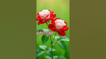 سورة البقرة الآية 61