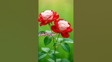 سورة البقرة الآية 61