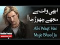 Abhi waqt hai muje chor jaurdu poetry