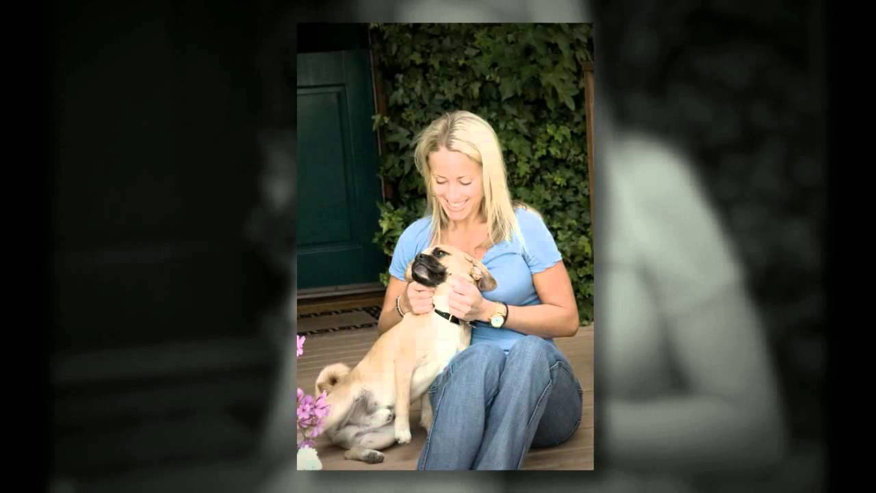 Montgomery Pet Sitter Benefits Of Hiring A Professional Pet Sitter