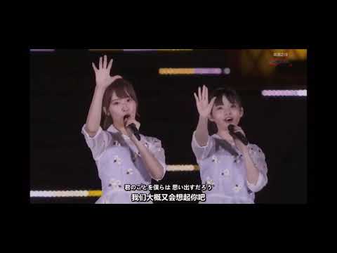 ハルジオン 川後陽菜