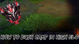 How To Bush Camp Like A Grandmaster League Of Legends