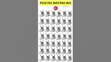 Find the odd one out #Shorts #Pudhir10