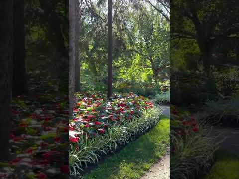 Video: Torontská botanická zahrada: Kompletní průvodce