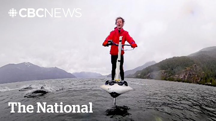 #TheMoment a B.C. man rode the waves with dozens of dolphins