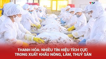 Thanh Hóa: Nhiều tín hiệu tích cực trong xuất khẩu nông, lâm, thuỷ sản | NSTH
