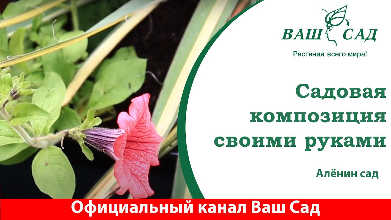 Ваш Сад Одесса Интернет Магазин