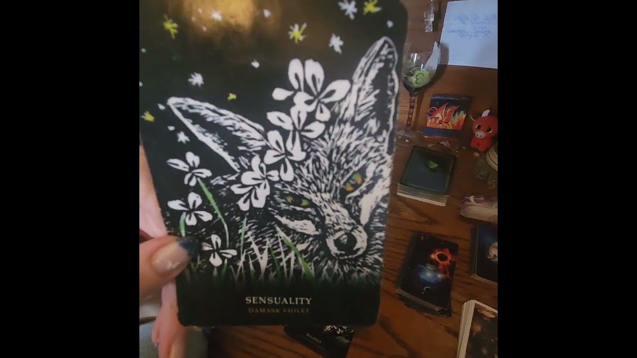 The Daily Collective 