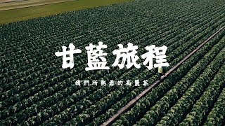 【商業廣告】｜臺北農產－甘藍-物產介紹影片｜ 若水影像有限公司｜Commercial Moment