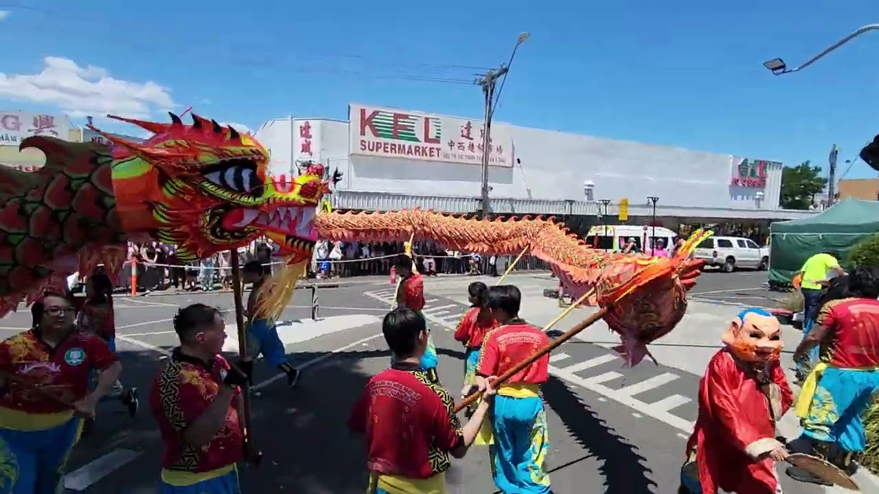 Dragon & Lion Dance & Firecracker at St Albans Lunar New Year festival 2026 Rồng Lân Pháo @goplaces1
