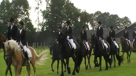 Demonstratie » 12tal