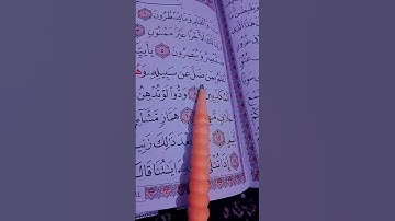 سورة القلم الشيخ علاء عقل