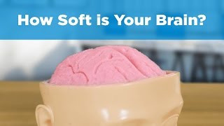 How Soft Is Your Brain? | Daniel G. Amen, MD screenshot 1