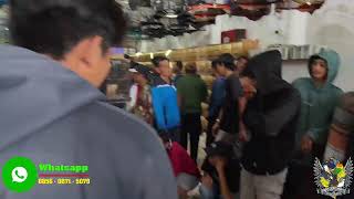 OBRAL MURAH BURUNG MURAI - CIGUN - SOGON - PRENJAK - RAMBATAN - SRIGUNTING DLL