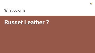 Russet Leather color #965849 hex color - Red color - Cool color 965849