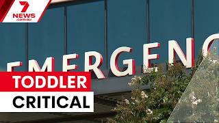 Toddler critical after Palm Beach pool incident | 7NEWS