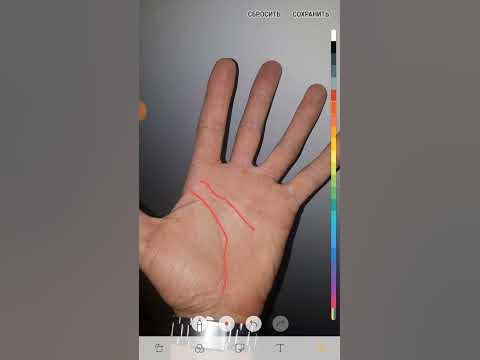 линия головы отдельно от линии жизни о чем это говорит. - YouTube