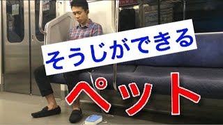 スポンジをペットにして散歩させてみた！