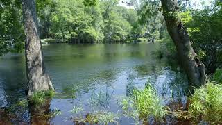 La Casa En El Rio - Sante Fe River - Fort White, Florida - Mavic Pro 2