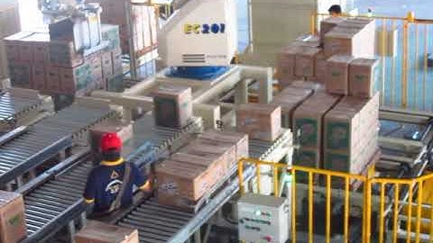 Fuji robot   4 in 4 out multi pickup palletizing box