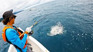 The Fishing Trip of Our DREAMS in Panama! (CATCH CLEAN COOK) Multi-Species