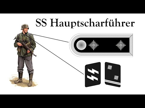 Полная иерархия воинских званий СС | Погоны и петлицы Waffen SS во Второй Мировой