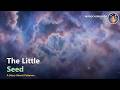 The Little Seed 🌱 A Gentle Bedtime Story About Patience | Calm Sleep Story for Kids