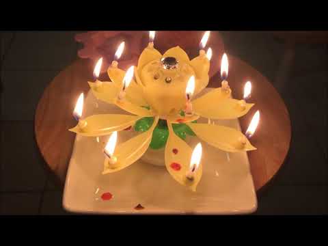 MUSICAL FLOWER BIRTHDAY