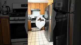 Kitchen remodel before & after