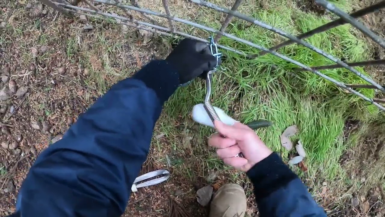 アライグマ専用捕獲機 アラホール 農作物被害 駆除 捕獲機 罠 わな猟