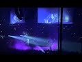 Drake & 21 Savage - Spin Bout U | It’s All A Blur Tour Live At Madison Square Garden | Night 1