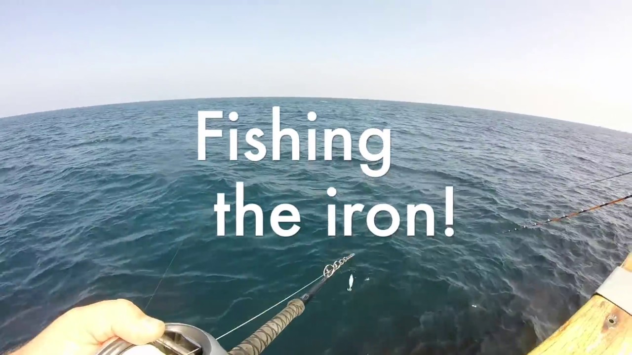 Oceanside 95 Yellowfin Tuna and Dorado YouTube