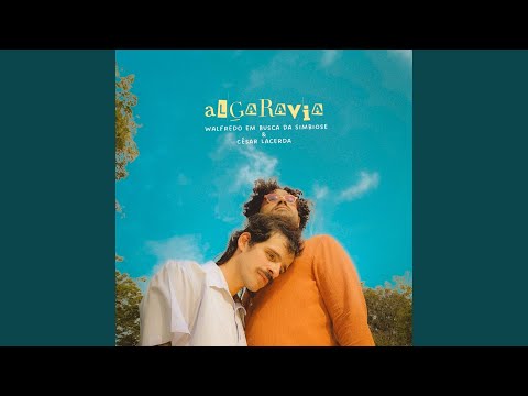 Music Video Preview