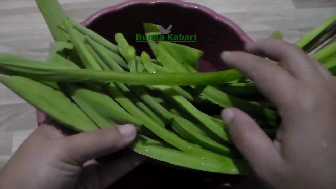 Cara Menghilangkan Rasa Pahit Dan Racun Serta Binatang Kecil Sayur