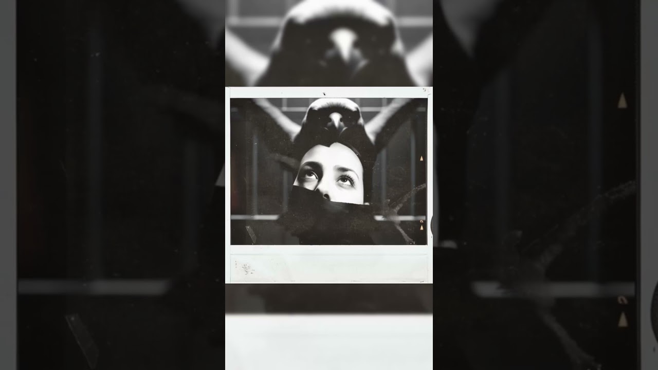 Local 72 + Kasha | Hollow Bucket | In My Bird Cage | New Album Coming in 2026