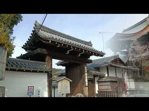Arashiyama's Other Scenic Spots / Vlog Review No. 360