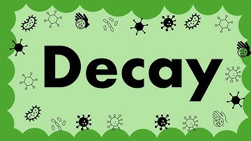 GCSE Biology ECOLOGY L6 - Decay
