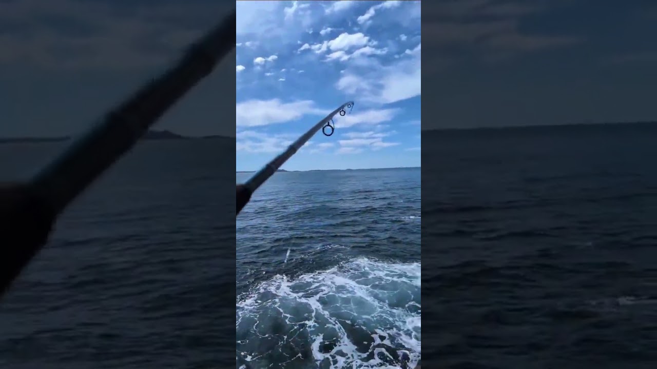 Windang Island drummer session