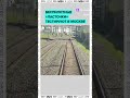 Беспилотные «Ласточки» начали тестировать на МЦК без машиниста — Москва 24