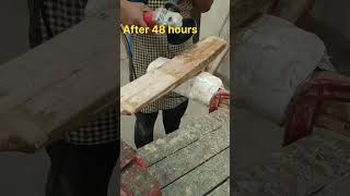 Cricket Bat Cleaning