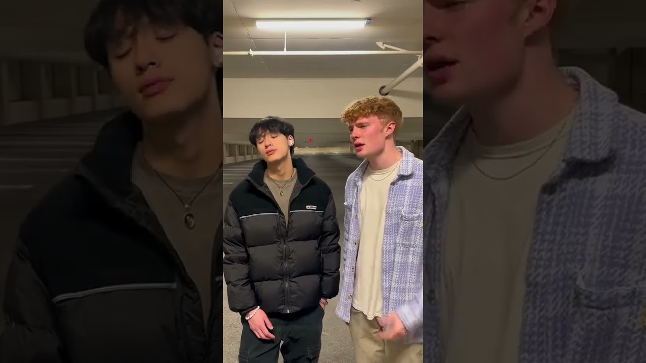 Dusk Till Dawn Cover By Johnny Huynh & Michael Gerow