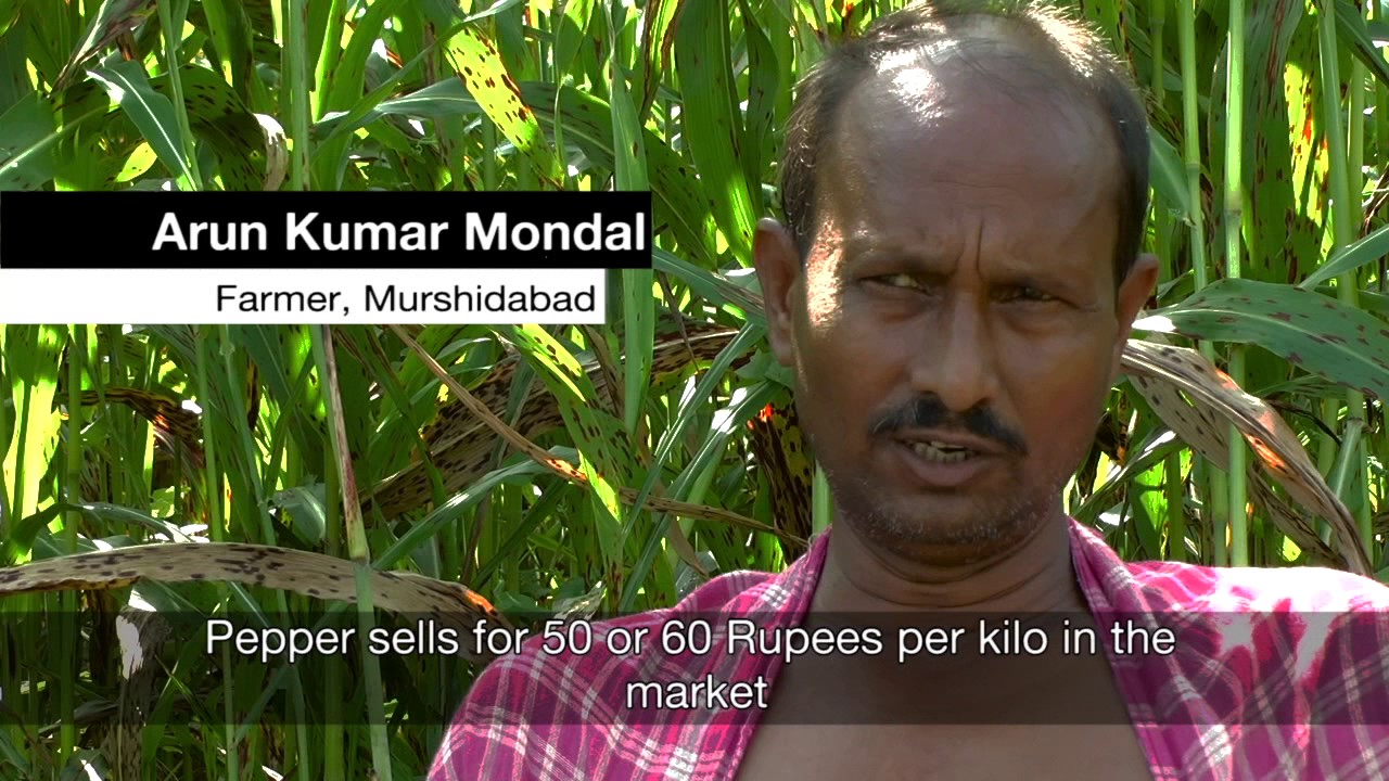 ONergy: Innovating Irrigation