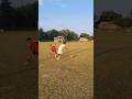 new fake body movement skills 😍#shorts #shortsfeed #footballskills @abesh sports