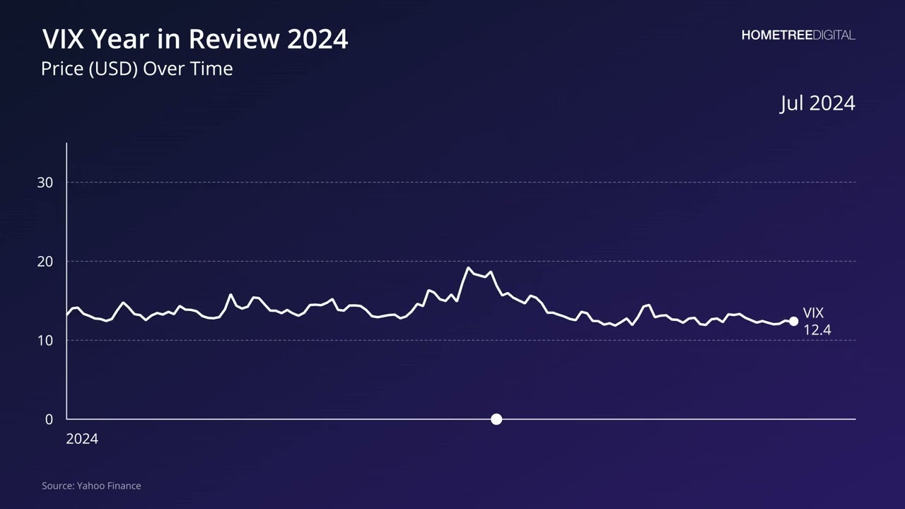 VIX Year in Review 2024