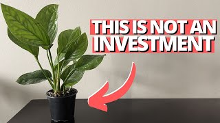 The problem with investment plants by Kill This Plant 34,179 views 10 months ago 6 minutes, 55 seconds