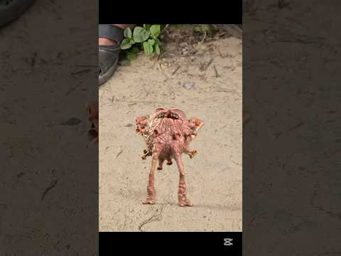 الجرثومه غضبانه   كوميديات  اكسبلور