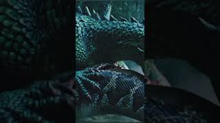 #Dragon Tears Open Python belly  to save Antelope #DragonVsPython#SavageRescue#WildlifeLegends