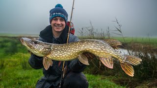 New size Westin Swim 13,5cm is SMASHING pike in the polder.